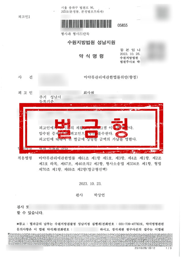 판결문 - 벌금형