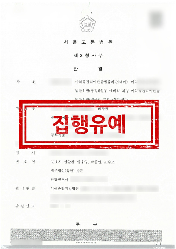 판결문 - 집행유예
