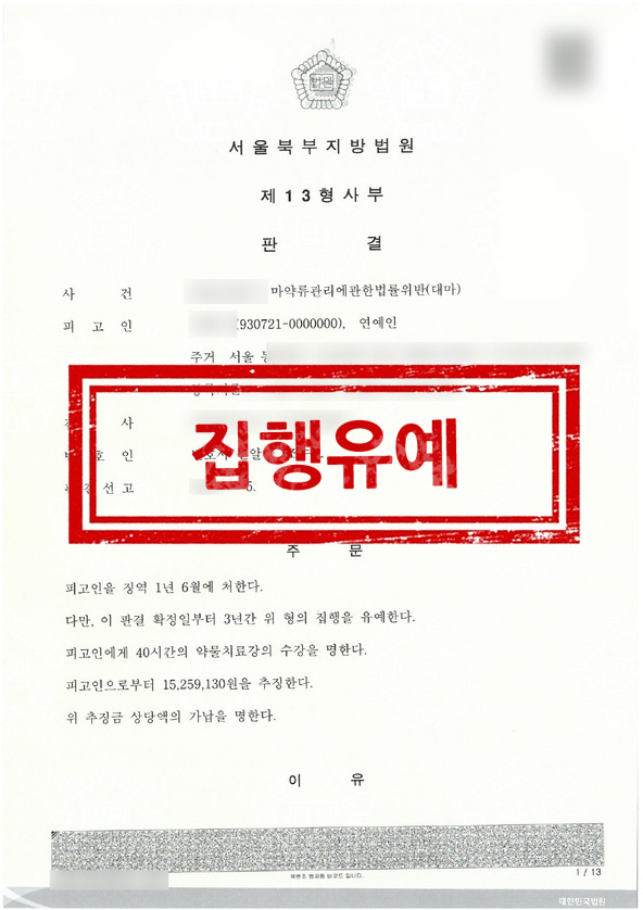 판결문 - 집행유예