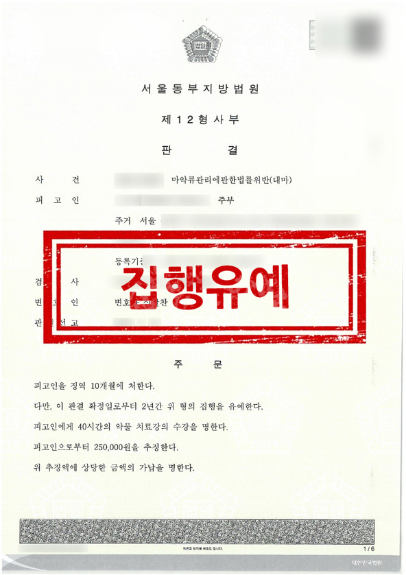 판결문 - 집행유예